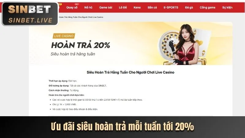 Trải nghiệm sòng bạc trực tuyến 555win ap